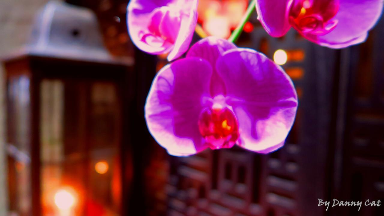 North Sea Hotel Taichung Extérieur photo