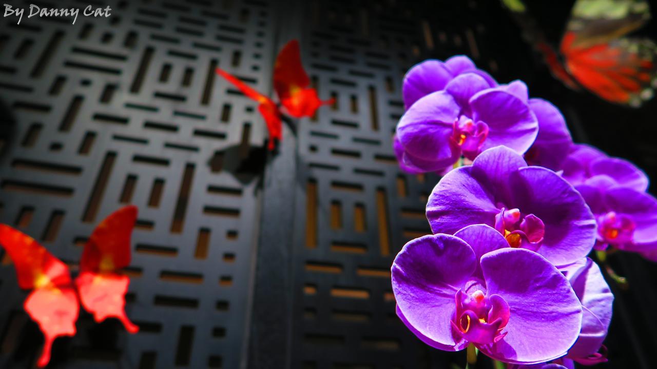 North Sea Hotel Taichung Extérieur photo